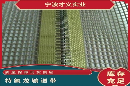 特氟龍輸送帶全能解決方案：多場景應(yīng)用，現(xiàn)貨供應(yīng)